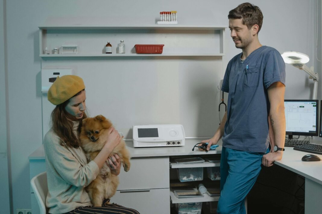 ветеринарная клиника vetcitypets